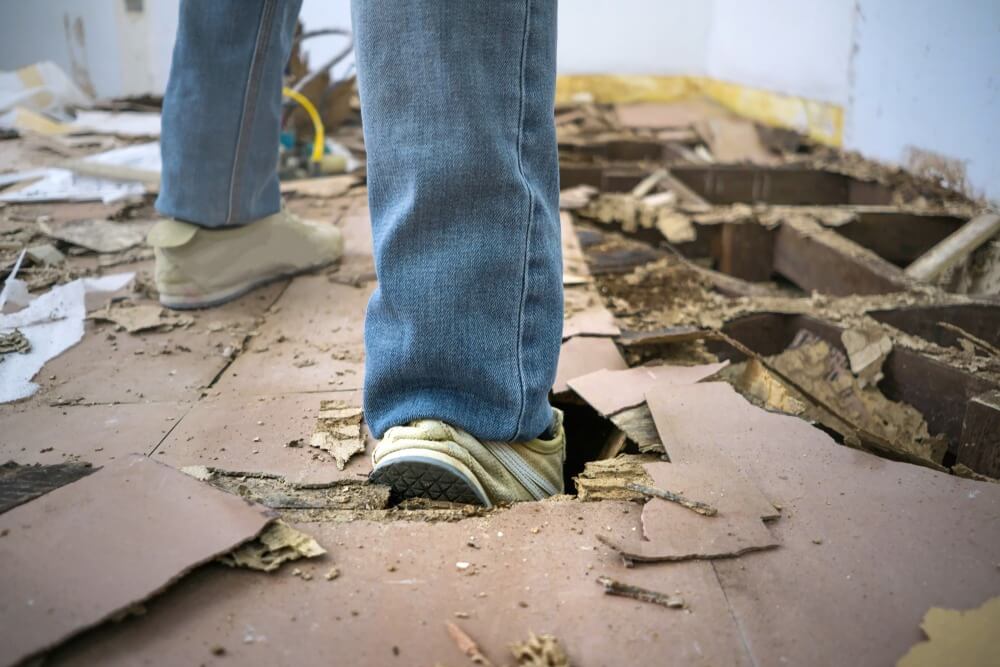 Termite damage - bending, sagging, breaking wood structures	