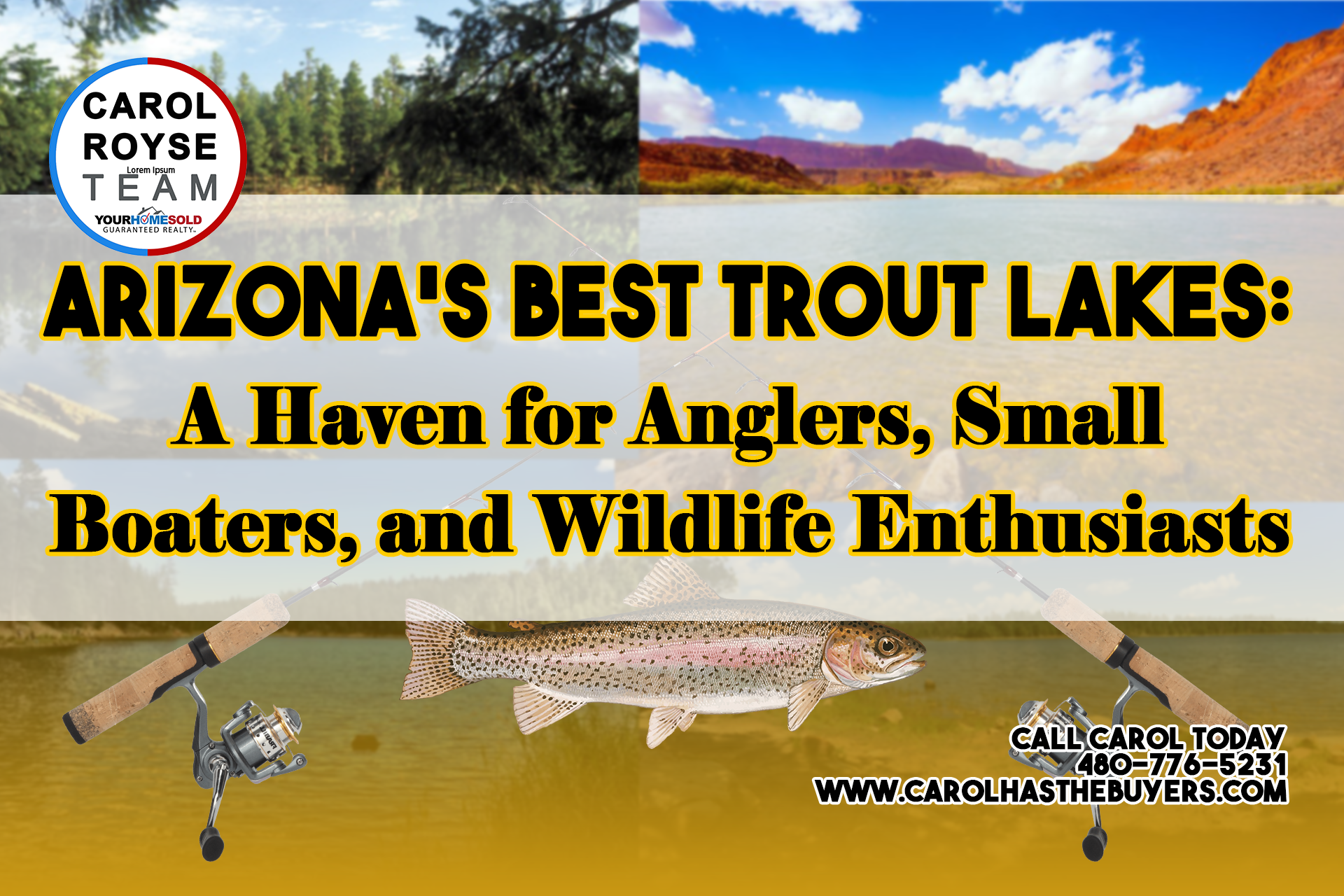 Arizona’s Best Trout Lakes: A Haven for Anglers, Small Boaters, and Wildlife Enthusiasts